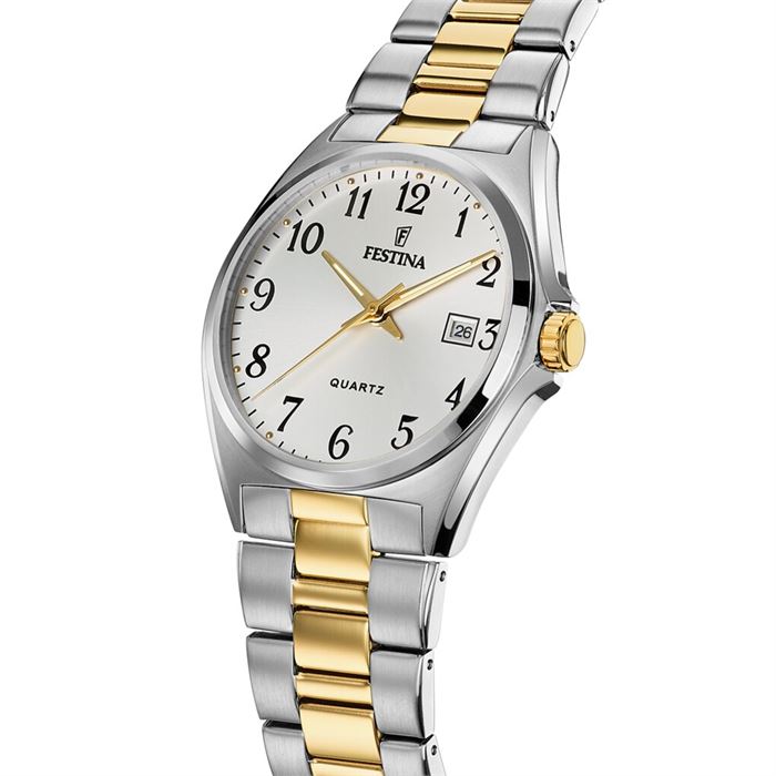 FESTİNA F20554/1 CLASSICS ERKEK KOL SAATİ