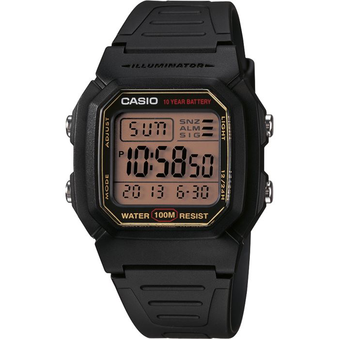 CASİO W-800HG-9AVDF ERKEK KOL SAATİ