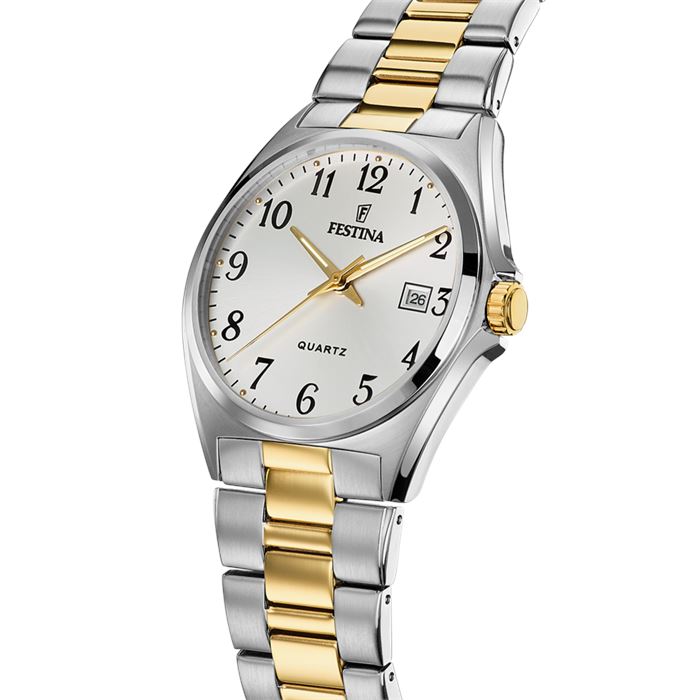 FESTİNA F20554/1 CLASSICS ERKEK KOL SAATİ