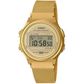 CASIO A171WEMG-9ADF RETRO KADIN KOL SAATİ
