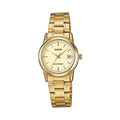 CASIO LTP-V002G-9AUDF KADIN KOL SAATİ