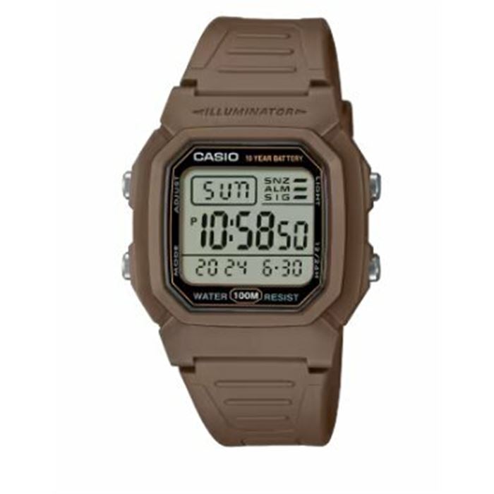 CASİO W-800H-5AVDF ERKEK KOL SAATİ
