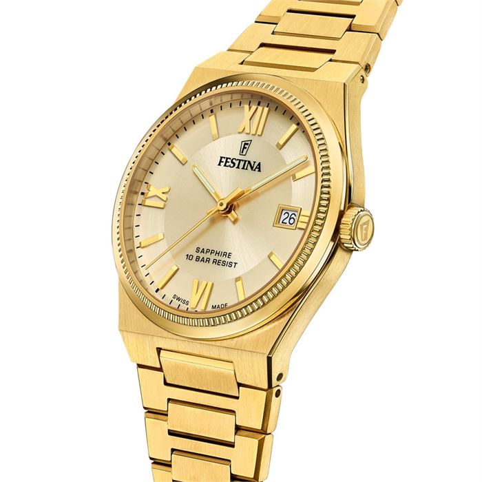 FESTİNA SWİSS F20038/2 ERKEK KOL SAATİ